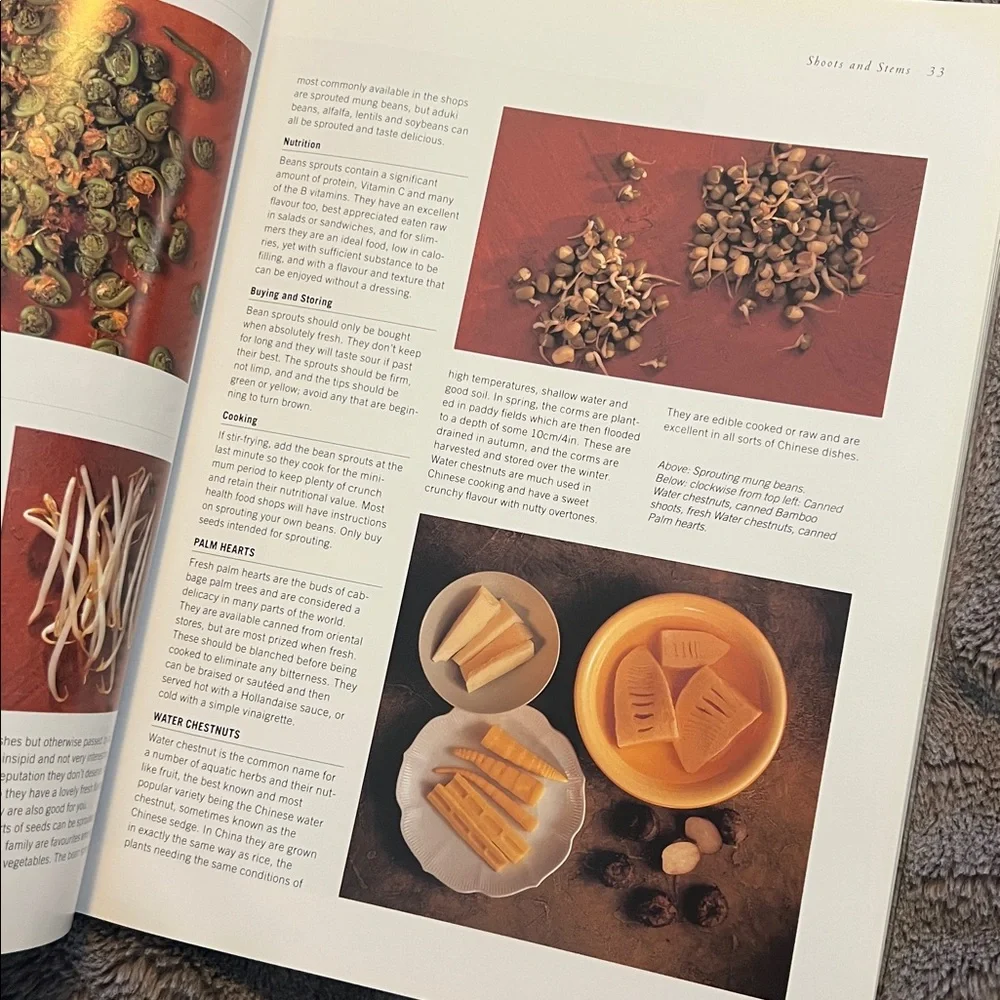 The Vegetable Encyclopedia and Cookbook by Christine Ingram 1999